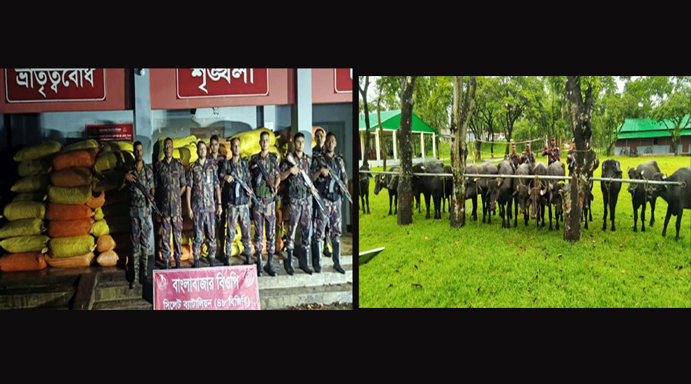 সিলেট সীমান্তে ফের কোটি টাকার চোরাই পণ্য-পশু জব্দ