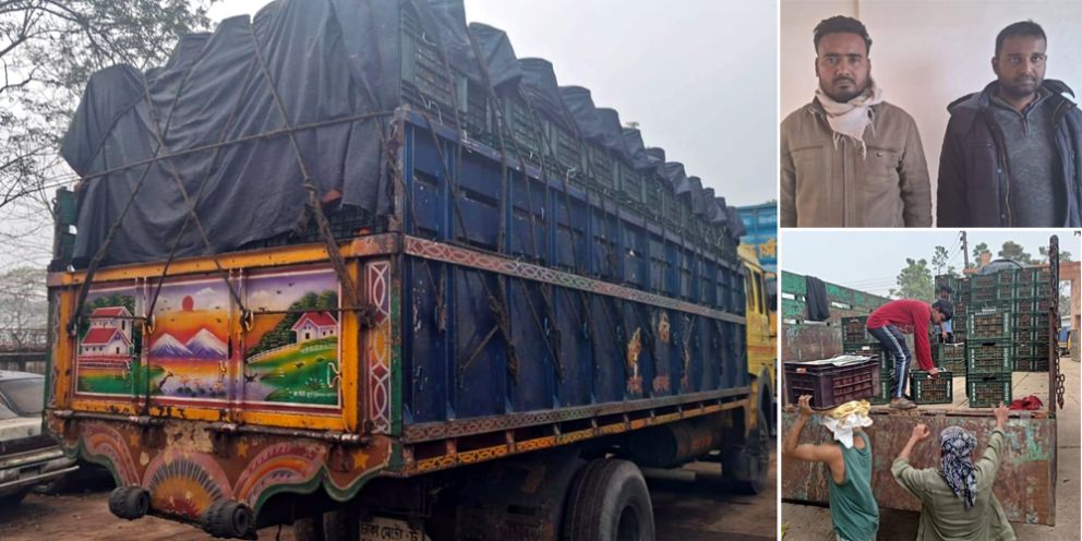 সিলেটে এবার ভারতীয় কমলার বিশাল চালান জব্দ করলো পুলিশ