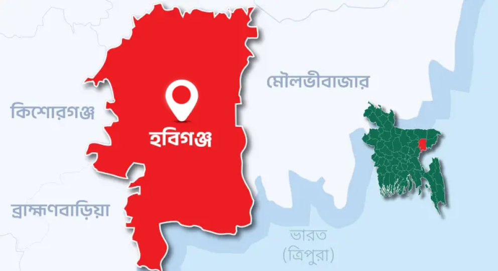 হবিগঞ্জে ১০ বছরের ভাতিজিকে কুপিয়ে খুন করল চাচা