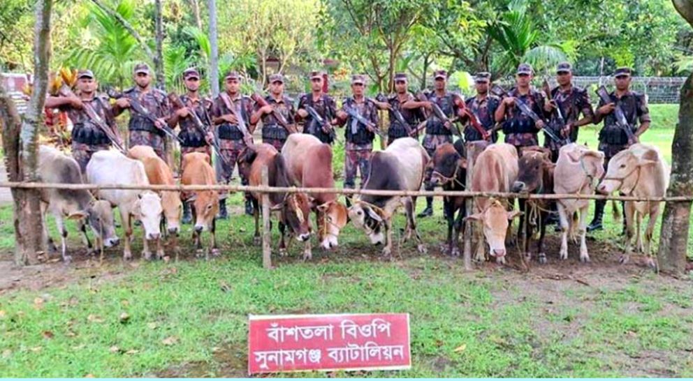 সুনামগঞ্জে যা আটক করলো বিজিবি