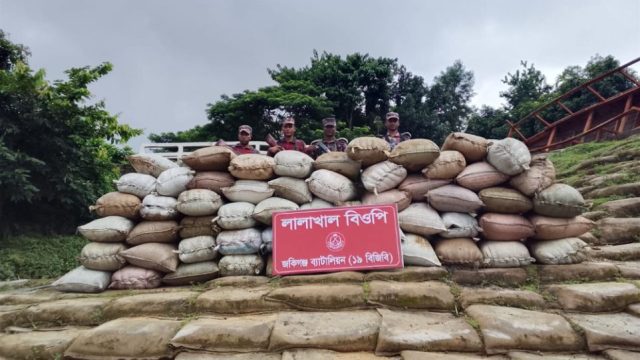জৈন্তাপুরে ভারতীয় গরু, সুপারি ও কয়লা জব্দ