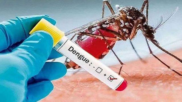 সিলেটে ডেঙ্গু আক্রান্ত হয়ে হাসপাতালে ১০ জন