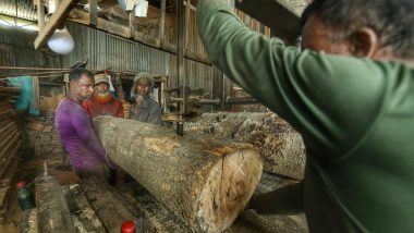 বিয়ানীবাজারের একডজন সো মিল: করাতের শব্দে হারিয়ে যায় শ্রমিকের জীবনের নিরাপত্তা