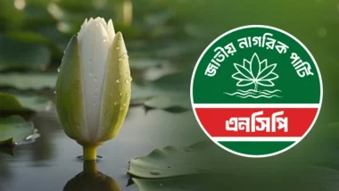 এনসিপির নেতৃত্বে ডিসেম্বরে আসছে নতুন রাজনৈতিক জোট