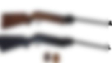 বিয়ানীবাজার থেকে উদ্ধার গুলিসহ দুই এয়ারগান