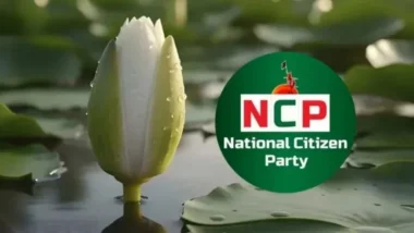 আট দিনে ১০১১ মনোনয়নপত্র বিক্রি করল এনসিপি
