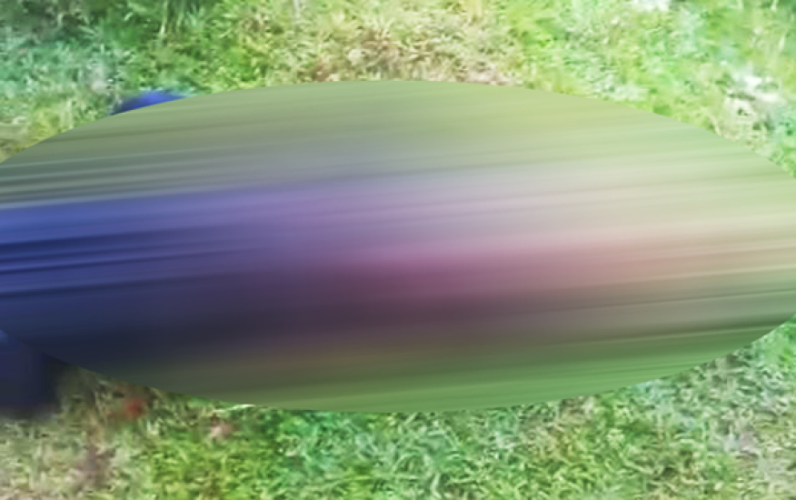 সিলেটে চা বাগান থেকে গলা কাটা অবস্থায় তরুণী উদ্ধার