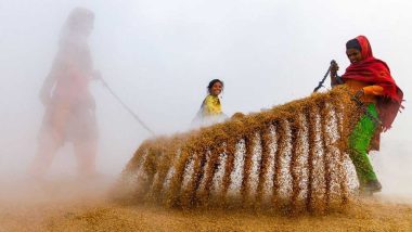 দোহা ফটোগ্রাফি পুরস্কার জিতলেন বাংলাদেশি আলোকচিত্রী রোহান