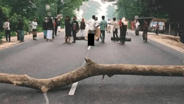 ফরিদপুরে রাস্তায় গাছ ফেলে মহাসড়ক অবরোধ