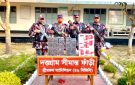 বিজিবির অভিযানে গরু ও সিগারেট জব্দ