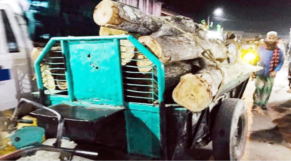 কমলগঞ্জে কেটে নেওয়া সরকারি গাছ উদ্ধার করলো বন বিভাগ