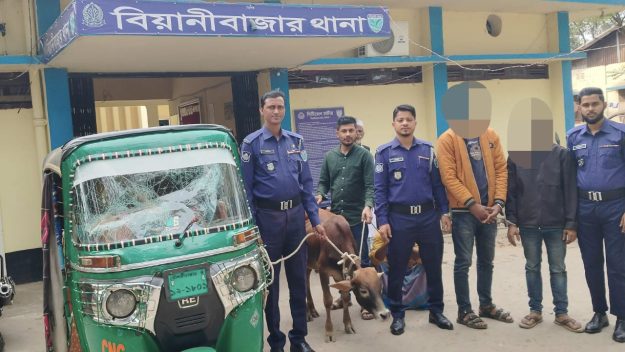 বিয়ানীবাজার থানা পুলিশের বিশেষ অভিযানে চোরাই গরু সহ ০২ জন গ্রেফতার