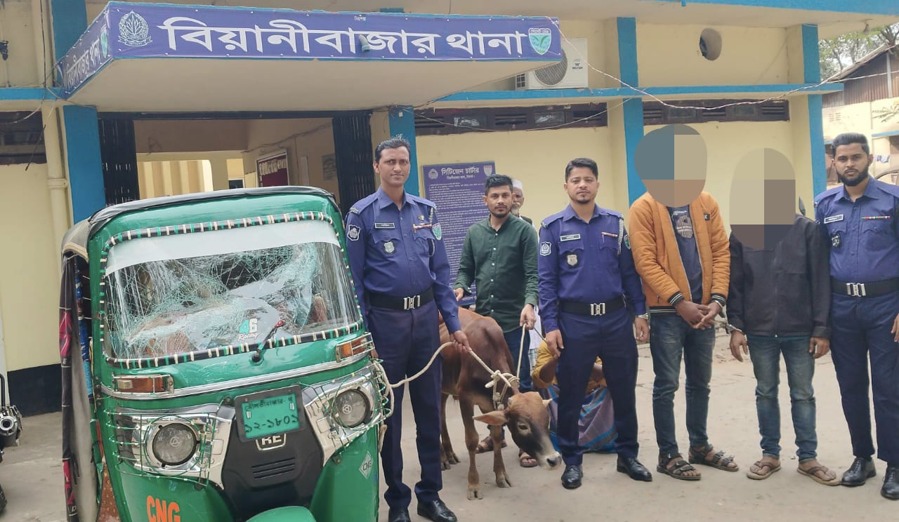 বিয়ানীবাজার থানা পুলিশের বিশেষ অভিযানে চোরাই গরু সহ ০২ জন গ্রেফতার