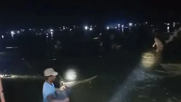 ৮ গ্রামের মানুষ মিলে জলমহালের অর্ধকোটি টাকার মাছ লুটপাট