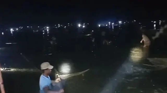 ৮ গ্রামের মানুষ মিলে জলমহালের অর্ধকোটি টাকার মাছ লুটপাট