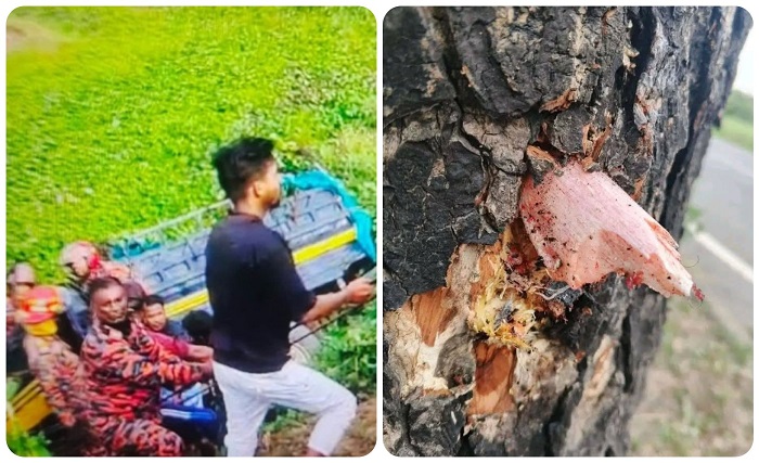 সিলেটে একদিনে সড়কে ঝরল নারী-শিশুসহ ৬ প্রাণ