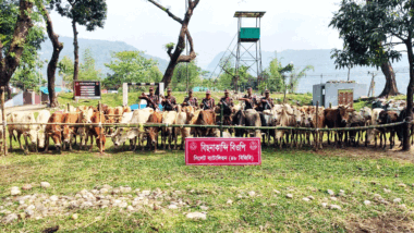 সিলেটে কোটি টাকার ভারতীয় পণ্য জব্দ