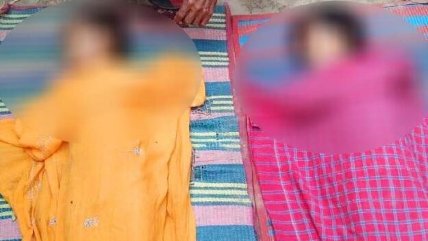 হবিগঞ্জে পুকুরের পানিতে ডুবে প্রাণ গেল ভাই-বোনের