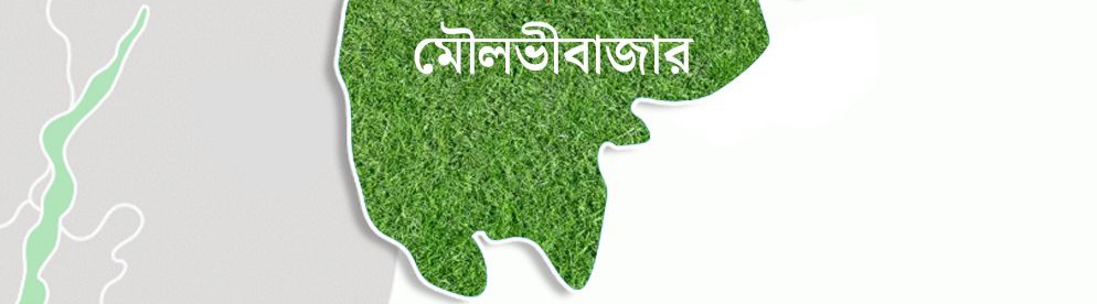 চেয়ারম্যানের গোডাউন থেকে ২৩১ বস্তা ভারতীয় চিনি উদ্ধার