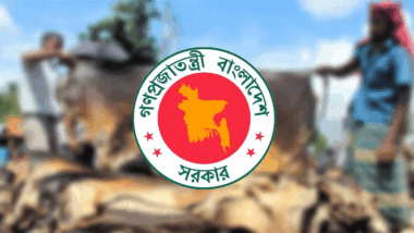 কোরবানির পশুর চামড়ার দাম নির্ধারণ করল সরকার