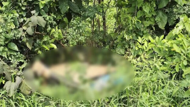জঙ্গলে মিলল বিশ্ববিদ্যালয় ছাত্রের মরদেহ