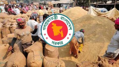 ৩ মে থেকে সিলেট বিভাগে হাওর অঞ্চলের ধান-চাল সংগ্রহ শুরু করবে সরকার