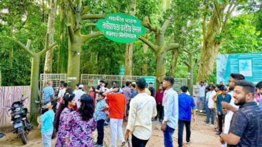 লাউছড়ায় পর্যটকের ঢল, রাজস্ব আদায় রেকর্ড