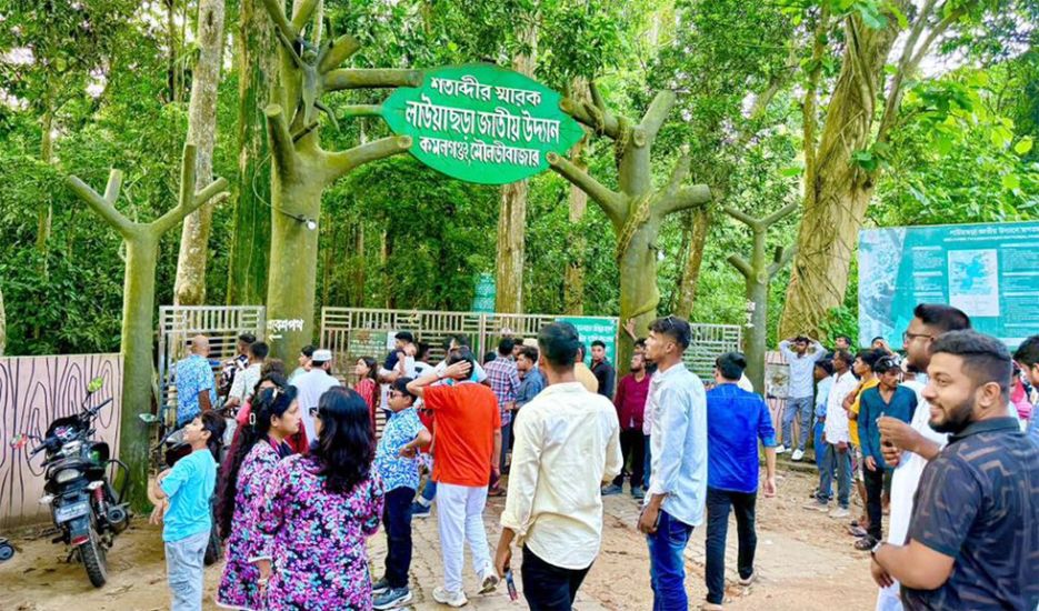লাউছড়ায় পর্যটকের ঢল, রাজস্ব আদায় রেকর্ড