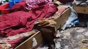 সেই বৃদ্ধার সঙ্গে মানবাধিকার লঙ্ঘন হয়েছে কি না, তদন্ত চেয়ে হাইকোর্টে রিট