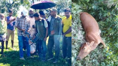 জৈন্তাপুর সীমান্তে বাঘ আতঙ্ক : তদন্তে বন বিভাগ