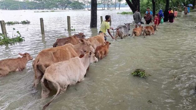 সিলেটে যে কারণে প্রস্তুত ৫৩৭ আশ্রয়কেন্দ্র