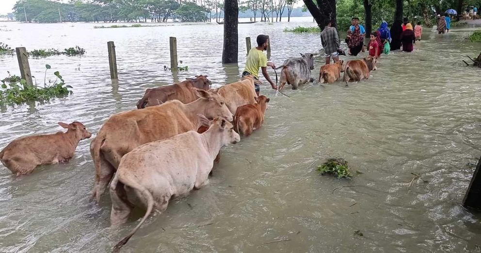 সিলেটে যে কারণে প্রস্তুত ৫৩৭ আশ্রয়কেন্দ্র