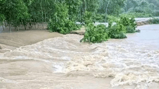 ঘাস কেটে ফেরার পথে ধলাই নদীতে নিখোঁজ মাসুক