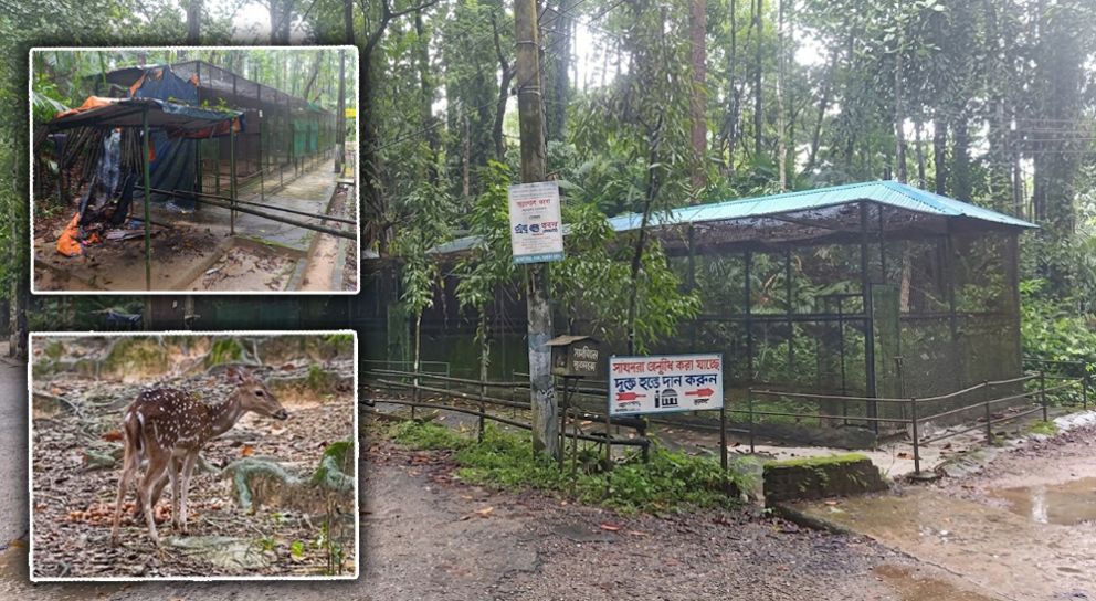 সিলেটে সংরক্ষণ কেন্দ্রের নামে ৭৩ প্রাণী ‘খু ন’