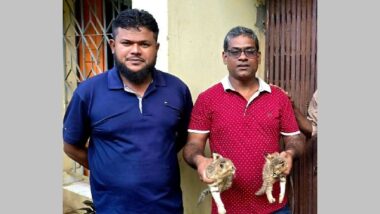 শ্রীমঙ্গলে হাঁস শিকার করতে লোকালয়ে বনবিড়ালের বাচ্চা