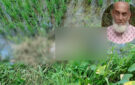 গোলাপগঞ্জে ঘাস দিয়ে ঢাকা ছিল আসিদ আলীর লা শ