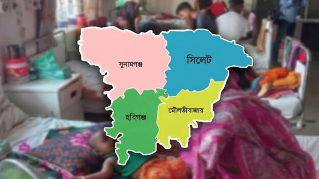 সিলেটে যে ভাইরাসে মিললো দুই প্রা ণ হা নি র খবর