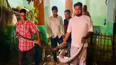 শ্রীমঙ্গলে খাটের নিচ থেকে ১৬ ফুট লম্বা অজগর উদ্ধার
