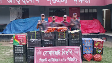 সিলেট সীমান্তে শিং মাছসহ জব্দ বিপুল পরিমাণ চো রা ই পণ্য