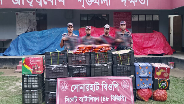 সিলেট সীমান্তে শিং মাছসহ জব্দ বিপুল পরিমাণ চো রা ই পণ্য