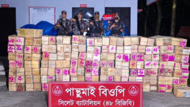 সিলেট সীমান্তে লাখ টাকার বুঙ্গার মালামাল ধরল বিজিবি