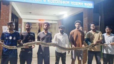 সিলেটে রাস্তা পারের চেষ্টায় ছিল ১২ ফুট লম্বা অজগর, অবশেষে অবমুক্ত