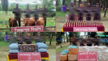 সিলেটে ১৯ বিজিবির অভিযান: ১৪ লাখ টাকার অবৈধ মালামাল জব্দ